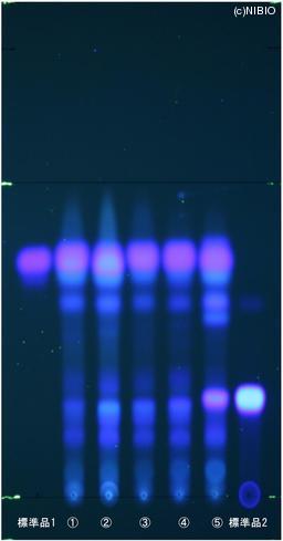 http://mpdb.nibiohn.go.jp/CONTENTS_ROOT/JP_IDENTIFICATION_PHOTO_DATA/JP_IDENTIFICATION_PHOTO_FILE/thumbnail/833.jpg