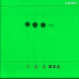 http://mpdb.nibiohn.go.jp/CONTENTS_ROOT/JP_IDENTIFICATION_PHOTO_DATA/JP_IDENTIFICATION_PHOTO_FILE/thumbnail/1215.jpg