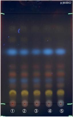 http://mpdb.nibiohn.go.jp/CONTENTS_ROOT/JP_IDENTIFICATION_PHOTO_DATA/JP_IDENTIFICATION_PHOTO_FILE/thumbnail/1025.jpg