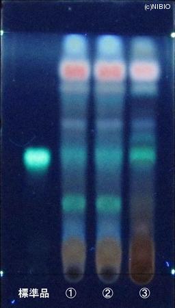 http://mpdb.nibiohn.go.jp/CONTENTS_ROOT/JP_IDENTIFICATION_PHOTO_DATA/JP_IDENTIFICATION_PHOTO_FILE/thumbnail/869.JPG