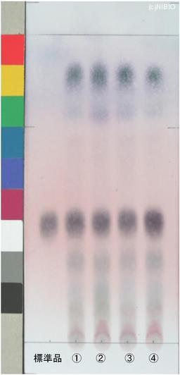 http://mpdb.nibiohn.go.jp/CONTENTS_ROOT/JP_IDENTIFICATION_PHOTO_DATA/JP_IDENTIFICATION_PHOTO_FILE/thumbnail/800.jpg