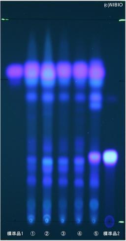 http://mpdb.nibiohn.go.jp/CONTENTS_ROOT/JP_IDENTIFICATION_PHOTO_DATA/JP_IDENTIFICATION_PHOTO_FILE/thumbnail/834.jpg