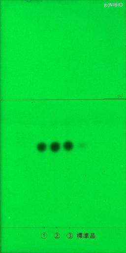 http://mpdb.nibiohn.go.jp/CONTENTS_ROOT/JP_IDENTIFICATION_PHOTO_DATA/JP_IDENTIFICATION_PHOTO_FILE/thumbnail/1216.jpg