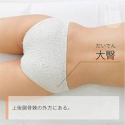 大臀 だいでん｜ツボの場所と効果｜ツボネット 鍼灸の症例が検索できるツボ辞典