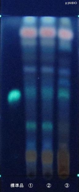 http://mpdb.nibiohn.go.jp/CONTENTS_ROOT/JP_IDENTIFICATION_PHOTO_DATA/JP_IDENTIFICATION_PHOTO_FILE/thumbnail/870.JPG
