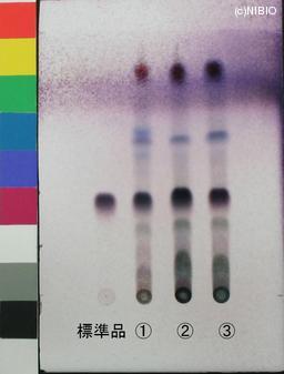 http://mpdb.nibiohn.go.jp/CONTENTS_ROOT/JP_IDENTIFICATION_PHOTO_DATA/JP_IDENTIFICATION_PHOTO_FILE/thumbnail/801.jpg
