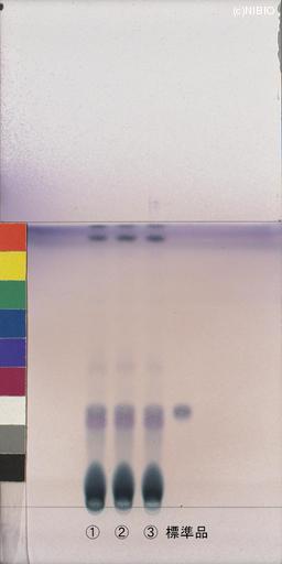 http://mpdb.nibiohn.go.jp/CONTENTS_ROOT/JP_IDENTIFICATION_PHOTO_DATA/JP_IDENTIFICATION_PHOTO_FILE/thumbnail/948.jpg
