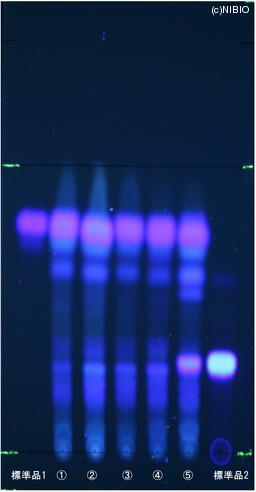http://mpdb.nibiohn.go.jp/CONTENTS_ROOT/JP_IDENTIFICATION_PHOTO_DATA/JP_IDENTIFICATION_PHOTO_FILE/thumbnail/835.jpg