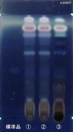 http://mpdb.nibiohn.go.jp/CONTENTS_ROOT/JP_IDENTIFICATION_PHOTO_DATA/JP_IDENTIFICATION_PHOTO_FILE/thumbnail/871.JPG