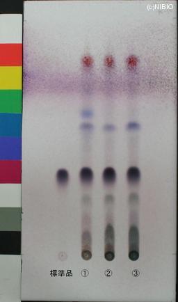 http://mpdb.nibiohn.go.jp/CONTENTS_ROOT/JP_IDENTIFICATION_PHOTO_DATA/JP_IDENTIFICATION_PHOTO_FILE/thumbnail/802.jpg