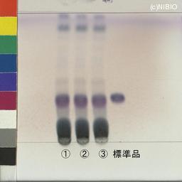 http://mpdb.nibiohn.go.jp/CONTENTS_ROOT/JP_IDENTIFICATION_PHOTO_DATA/JP_IDENTIFICATION_PHOTO_FILE/thumbnail/949.jpg