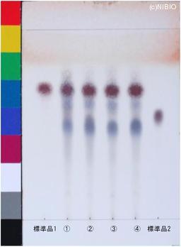 http://mpdb.nibiohn.go.jp/CONTENTS_ROOT/JP_IDENTIFICATION_PHOTO_DATA/JP_IDENTIFICATION_PHOTO_FILE/thumbnail/1149.jpg