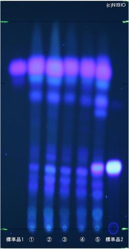 http://mpdb.nibiohn.go.jp/CONTENTS_ROOT/JP_IDENTIFICATION_PHOTO_DATA/JP_IDENTIFICATION_PHOTO_FILE/thumbnail/836.jpg