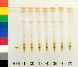http://mpdb.nibiohn.go.jp/CONTENTS_ROOT/JP_IDENTIFICATION_PHOTO_DATA/JP_IDENTIFICATION_PHOTO_FILE/thumbnail/1286.jpg