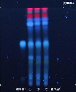 http://mpdb.nibiohn.go.jp/CONTENTS_ROOT/JP_IDENTIFICATION_PHOTO_DATA/JP_IDENTIFICATION_PHOTO_FILE/thumbnail/1200.JPG