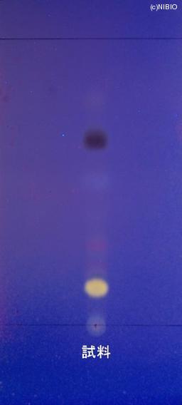 http://mpdb.nibiohn.go.jp/CONTENTS_ROOT/JP_IDENTIFICATION_PHOTO_DATA/JP_IDENTIFICATION_PHOTO_FILE/thumbnail/1029.JPG