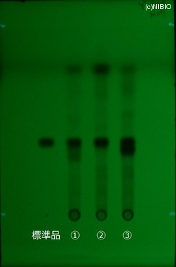 http://mpdb.nibiohn.go.jp/CONTENTS_ROOT/JP_IDENTIFICATION_PHOTO_DATA/JP_IDENTIFICATION_PHOTO_FILE/thumbnail/463.jpg