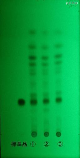 http://mpdb.nibiohn.go.jp/CONTENTS_ROOT/JP_IDENTIFICATION_PHOTO_DATA/JP_IDENTIFICATION_PHOTO_FILE/thumbnail/780.jpg