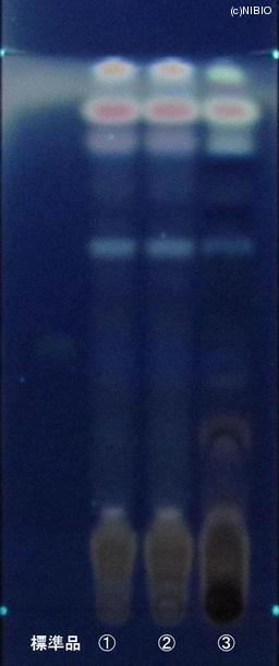 http://mpdb.nibiohn.go.jp/CONTENTS_ROOT/JP_IDENTIFICATION_PHOTO_DATA/JP_IDENTIFICATION_PHOTO_FILE/thumbnail/872.JPG