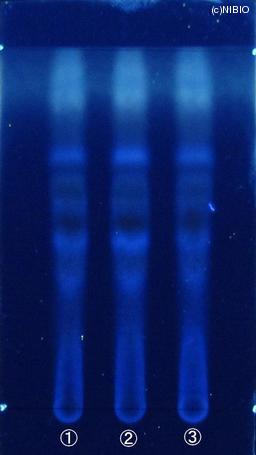 http://mpdb.nibiohn.go.jp/CONTENTS_ROOT/JP_IDENTIFICATION_PHOTO_DATA/JP_IDENTIFICATION_PHOTO_FILE/thumbnail/621.JPG