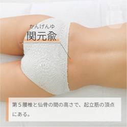 関元兪 かんげんゆ｜ツボの場所と効果｜ツボネット 鍼灸の症例が検索できるツボ辞典