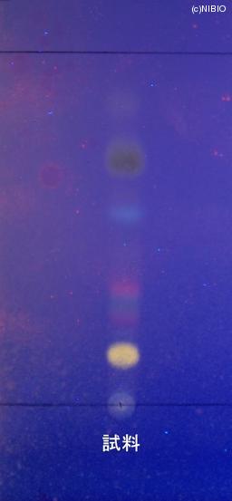 http://mpdb.nibiohn.go.jp/CONTENTS_ROOT/JP_IDENTIFICATION_PHOTO_DATA/JP_IDENTIFICATION_PHOTO_FILE/thumbnail/1030.JPG