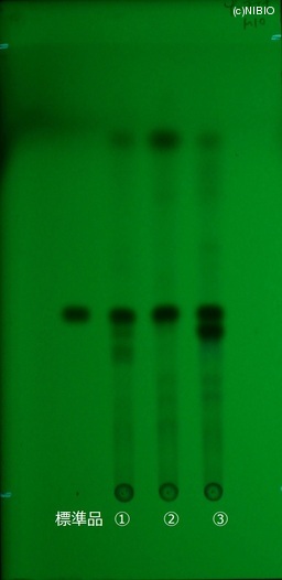 http://mpdb.nibiohn.go.jp/CONTENTS_ROOT/JP_IDENTIFICATION_PHOTO_DATA/JP_IDENTIFICATION_PHOTO_FILE/thumbnail/464.jpg