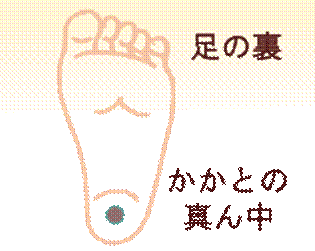 width=