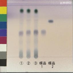 http://mpdb.nibiohn.go.jp/CONTENTS_ROOT/JP_IDENTIFICATION_PHOTO_DATA/JP_IDENTIFICATION_PHOTO_FILE/thumbnail/805.jpg