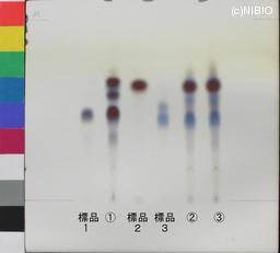 http://mpdb.nibiohn.go.jp/CONTENTS_ROOT/JP_IDENTIFICATION_PHOTO_DATA/JP_IDENTIFICATION_PHOTO_FILE/thumbnail/1152.jpg