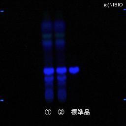 http://mpdb.nibiohn.go.jp/CONTENTS_ROOT/JP_IDENTIFICATION_PHOTO_DATA/JP_IDENTIFICATION_PHOTO_FILE/thumbnail/839.jpg