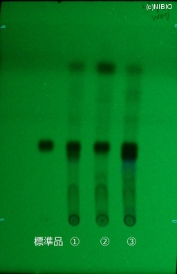 http://mpdb.nibiohn.go.jp/CONTENTS_ROOT/JP_IDENTIFICATION_PHOTO_DATA/JP_IDENTIFICATION_PHOTO_FILE/thumbnail/465.jpg