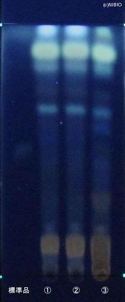 http://mpdb.nibiohn.go.jp/CONTENTS_ROOT/JP_IDENTIFICATION_PHOTO_DATA/JP_IDENTIFICATION_PHOTO_FILE/thumbnail/874.JPG