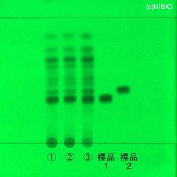 http://mpdb.nibiohn.go.jp/CONTENTS_ROOT/JP_IDENTIFICATION_PHOTO_DATA/JP_IDENTIFICATION_PHOTO_FILE/thumbnail/783.jpg