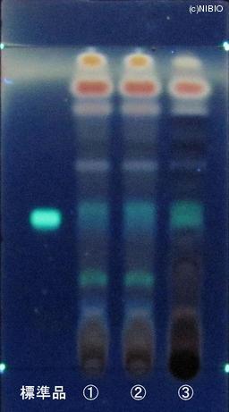 http://mpdb.nibiohn.go.jp/CONTENTS_ROOT/JP_IDENTIFICATION_PHOTO_DATA/JP_IDENTIFICATION_PHOTO_FILE/thumbnail/875.JPG
