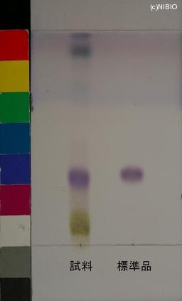 http://mpdb.nibiohn.go.jp/CONTENTS_ROOT/JP_IDENTIFICATION_PHOTO_DATA/JP_IDENTIFICATION_PHOTO_FILE/thumbnail/953.JPG
