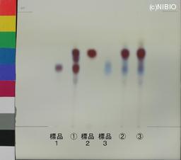 http://mpdb.nibiohn.go.jp/CONTENTS_ROOT/JP_IDENTIFICATION_PHOTO_DATA/JP_IDENTIFICATION_PHOTO_FILE/thumbnail/1153.jpg