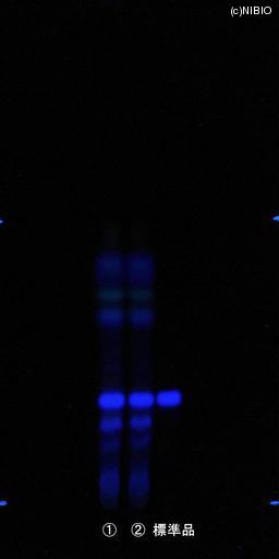 http://mpdb.nibiohn.go.jp/CONTENTS_ROOT/JP_IDENTIFICATION_PHOTO_DATA/JP_IDENTIFICATION_PHOTO_FILE/thumbnail/840.jpg