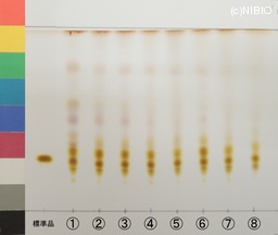 http://mpdb.nibiohn.go.jp/CONTENTS_ROOT/JP_IDENTIFICATION_PHOTO_DATA/JP_IDENTIFICATION_PHOTO_FILE/thumbnail/1339.jpg