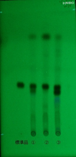 http://mpdb.nibiohn.go.jp/CONTENTS_ROOT/JP_IDENTIFICATION_PHOTO_DATA/JP_IDENTIFICATION_PHOTO_FILE/thumbnail/466.jpg