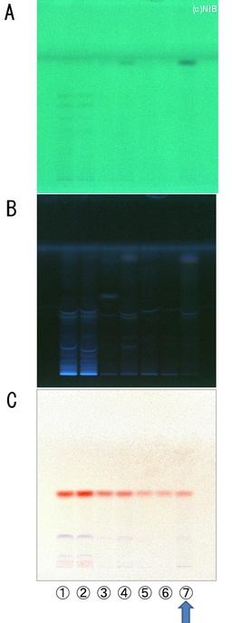 http://mpdb.nibiohn.go.jp/CONTENTS_ROOT/TLC_DATA/TLC_FIG_FILE/thumbnail/736.jpg