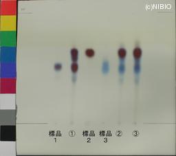 http://mpdb.nibiohn.go.jp/CONTENTS_ROOT/JP_IDENTIFICATION_PHOTO_DATA/JP_IDENTIFICATION_PHOTO_FILE/thumbnail/1154.jpg