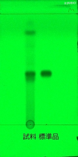 http://mpdb.nibiohn.go.jp/CONTENTS_ROOT/JP_IDENTIFICATION_PHOTO_DATA/JP_IDENTIFICATION_PHOTO_FILE/thumbnail/467.jpg