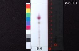http://mpdb.nibiohn.go.jp/CONTENTS_ROOT/JP_IDENTIFICATION_PHOTO_DATA/JP_IDENTIFICATION_PHOTO_FILE/thumbnail/1253.jpg