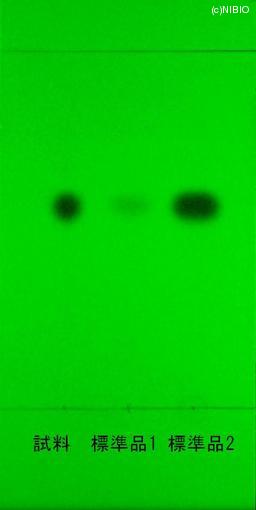 http://mpdb.nibiohn.go.jp/CONTENTS_ROOT/JP_IDENTIFICATION_PHOTO_DATA/JP_IDENTIFICATION_PHOTO_FILE/thumbnail/1223.JPG