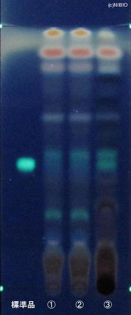 http://mpdb.nibiohn.go.jp/CONTENTS_ROOT/JP_IDENTIFICATION_PHOTO_DATA/JP_IDENTIFICATION_PHOTO_FILE/thumbnail/876.JPG