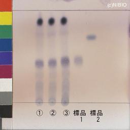 http://mpdb.nibiohn.go.jp/CONTENTS_ROOT/JP_IDENTIFICATION_PHOTO_DATA/JP_IDENTIFICATION_PHOTO_FILE/thumbnail/807.jpg