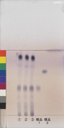 http://mpdb.nibiohn.go.jp/CONTENTS_ROOT/JP_IDENTIFICATION_PHOTO_DATA/JP_IDENTIFICATION_PHOTO_FILE/thumbnail/808.jpg