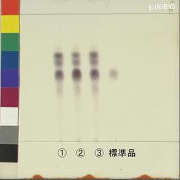 http://mpdb.nibiohn.go.jp/CONTENTS_ROOT/JP_IDENTIFICATION_PHOTO_DATA/JP_IDENTIFICATION_PHOTO_FILE/thumbnail/1155.jpg