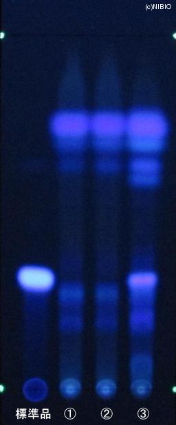 http://mpdb.nibiohn.go.jp/CONTENTS_ROOT/JP_IDENTIFICATION_PHOTO_DATA/JP_IDENTIFICATION_PHOTO_FILE/thumbnail/842.JPG